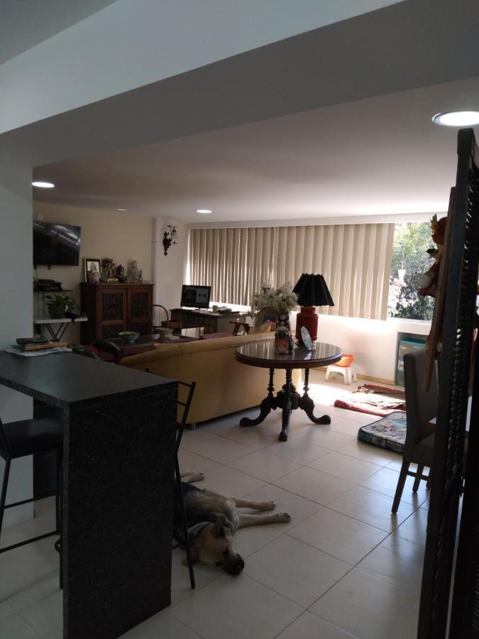 Charming Sunny Bedroom Overlooking Beautiful Amsterdam Avenue In Best Condesa Area Ciudad de México Exteriér fotografie