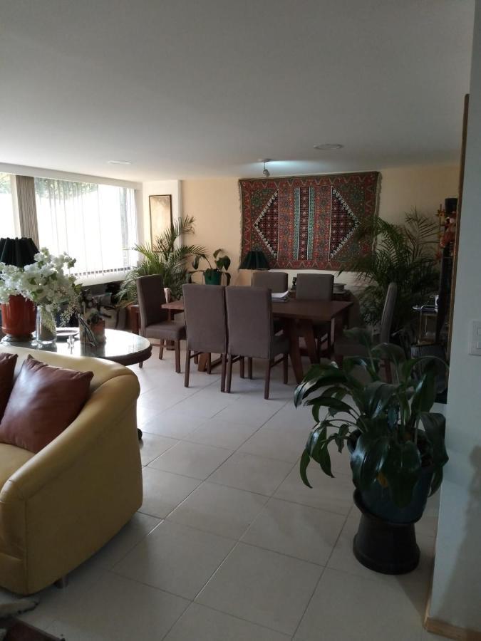 Charming Sunny Bedroom Overlooking Beautiful Amsterdam Avenue In Best Condesa Area Ciudad de México Exteriér fotografie