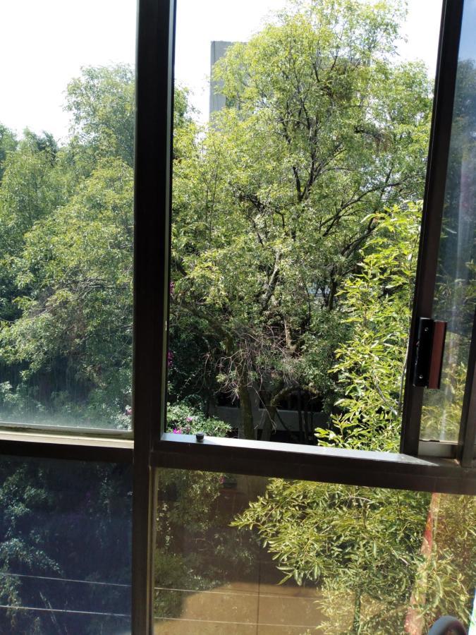 Charming Sunny Bedroom Overlooking Beautiful Amsterdam Avenue In Best Condesa Area Ciudad de México Exteriér fotografie